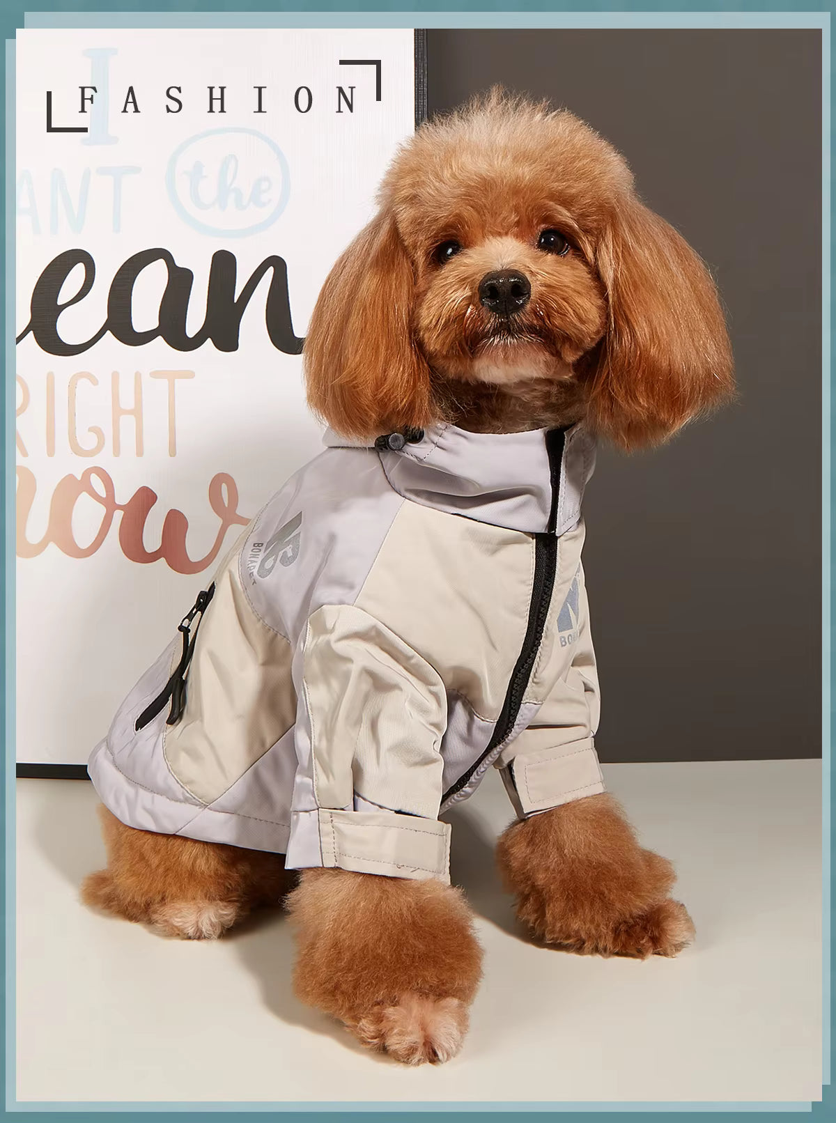 Plush 4-legged Khaki Jacket Windproof Waterproof Warm Coat Dogs (Copy) (Copy) (Copy) (Copy)
