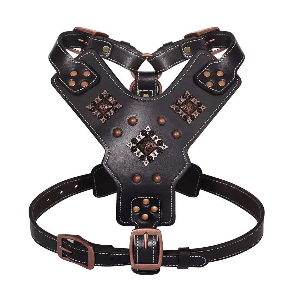 Dog Harness | Designed for Dogs