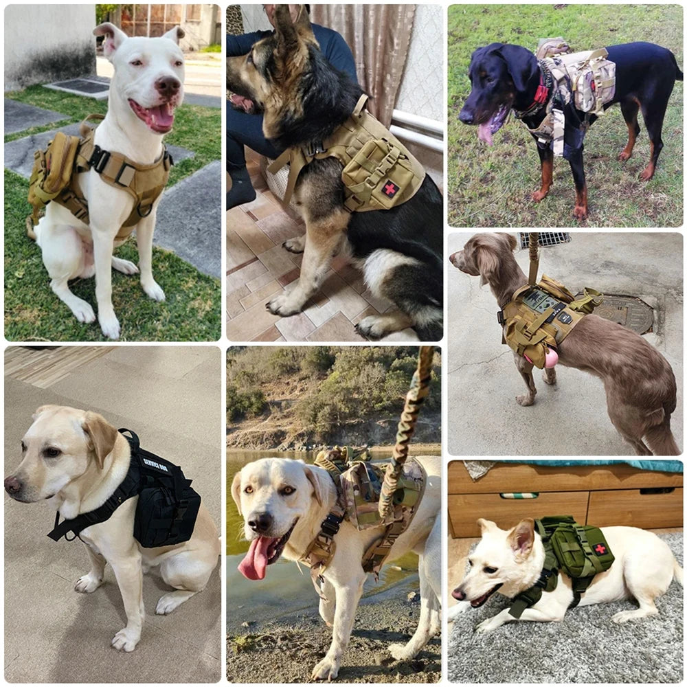 Tactical Military Dog Harness Set with Collar, Bungee Leash & MOLLE Pouches