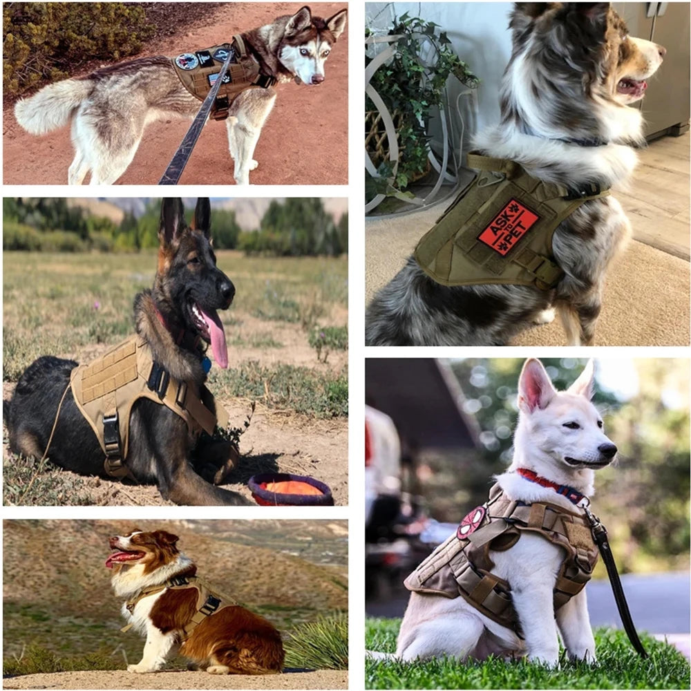 Tactical Military Dog Harness Set with Collar, Bungee Leash & MOLLE Pouches