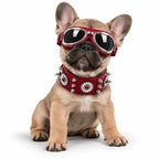 Spiked Dog Collar Genuine Leather  | Croc Leather EB65