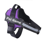 Custom Dog Harness | No Pull | The Signature