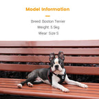 Reflective Comfort Dog Harness | Master Harness