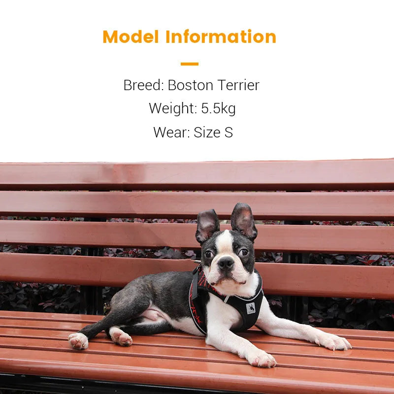 Reflective Comfort Dog Harness | Master Harness