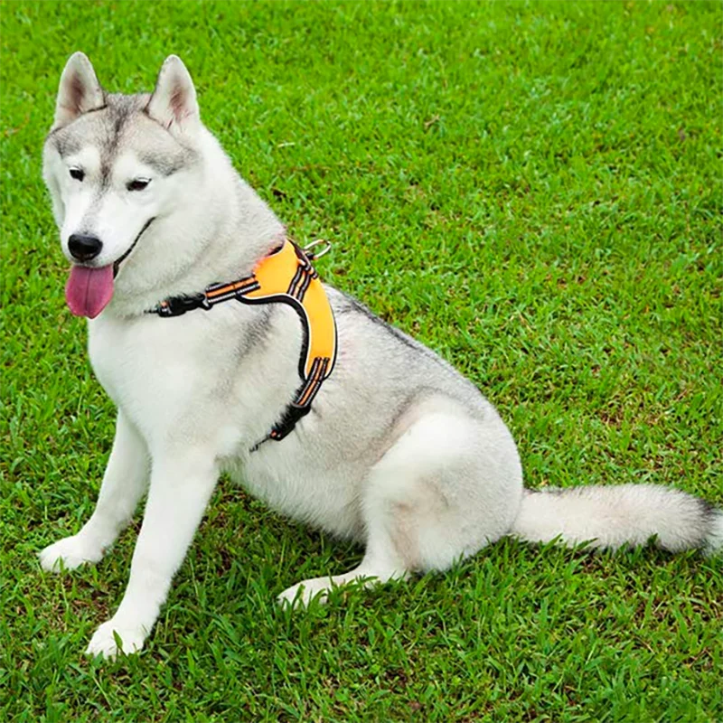 Luxury Dog Harness | Reflective | Vest