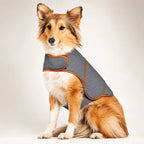 Elastic Dog Anxiety Jacket | Thunder Shirt