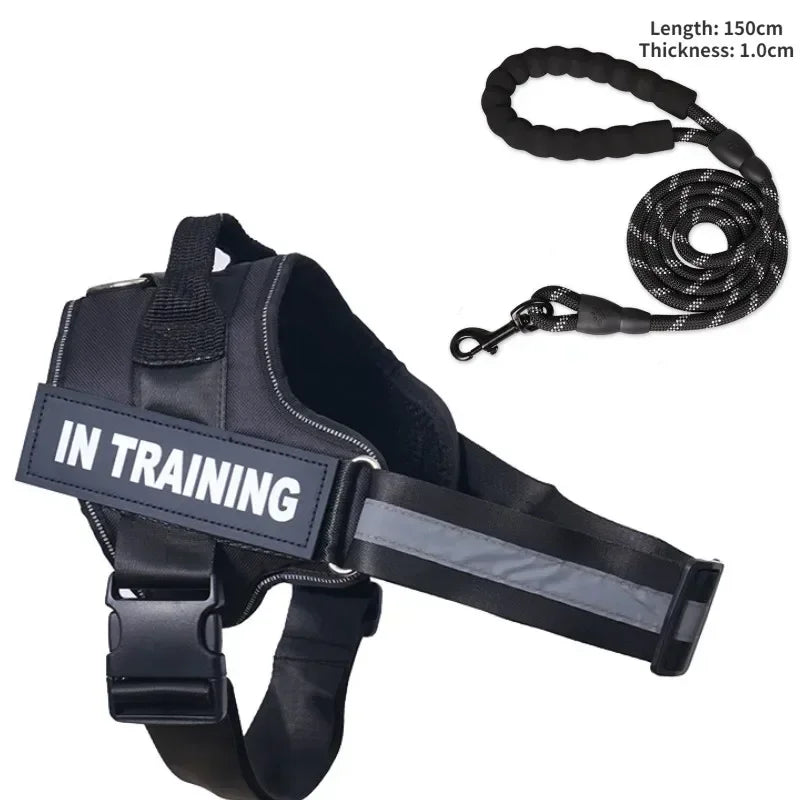 Custom Luxury Dog Harness + Leash | Mini Set