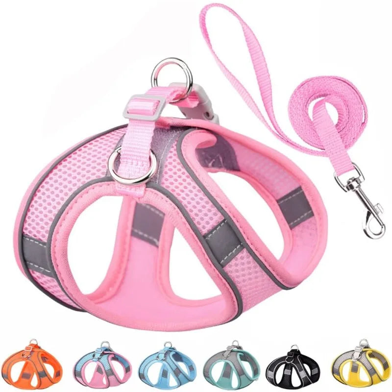 Step-In Breathable Mesh Dog Harness & Leash Set