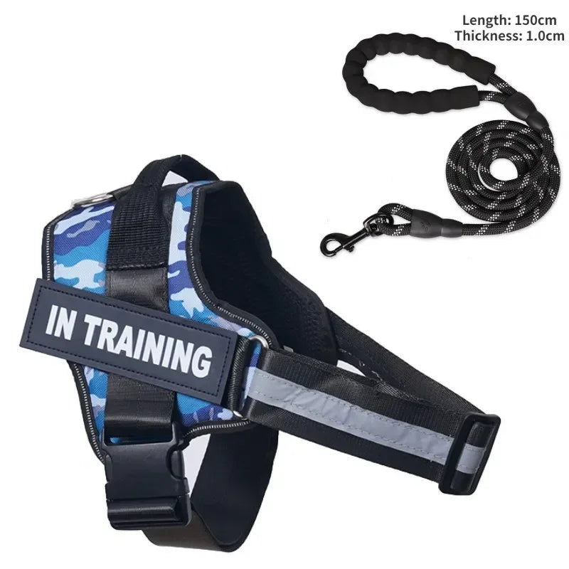 Custom Luxury Dog Harness + Leash | Mini Set