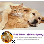 Pet Calming Spray Pheromone Diffuser for Cats Dogs