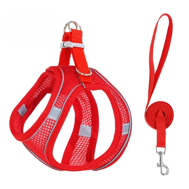 Step-In Breathable Mesh Dog Harness & Leash Set