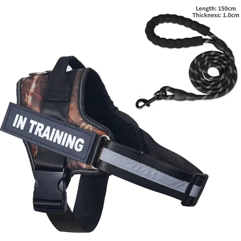Custom Luxury Dog Harness + Leash | Mini Set