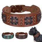 Spiked Dog Collar Genuine Leather