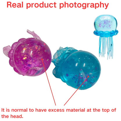 Jelly Squishy Toy