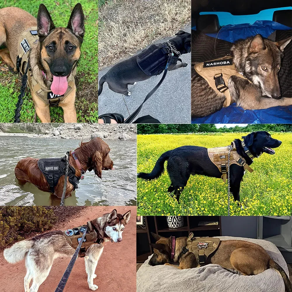 Tactical Military Dog Harness Set with Collar, Bungee Leash & MOLLE Pouches
