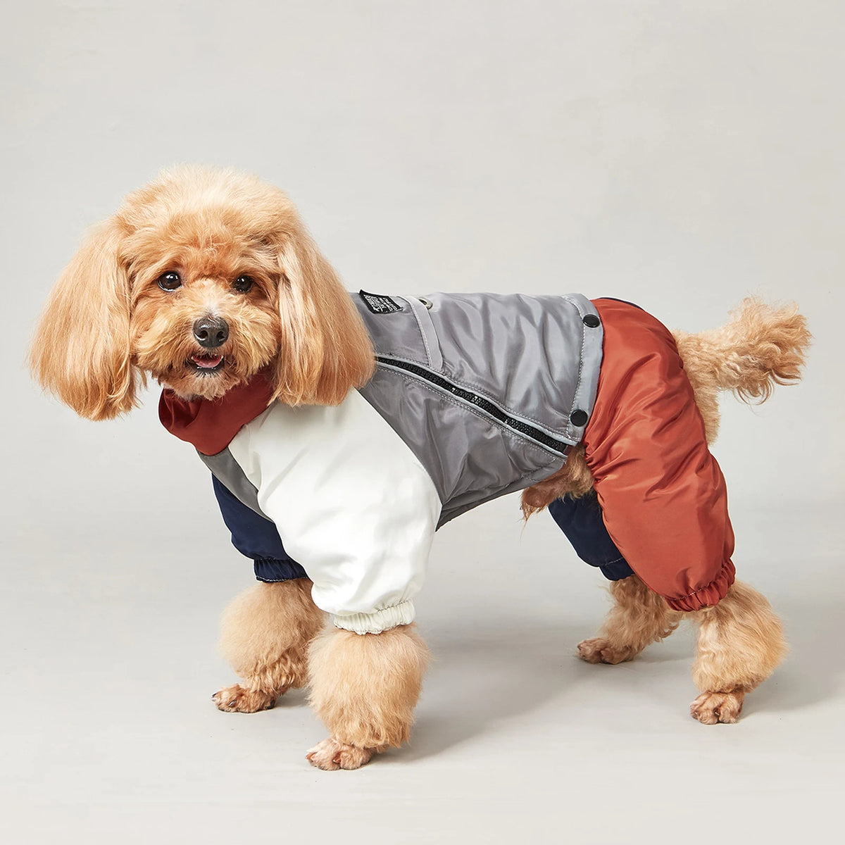 Retro Colorblock Full-Body Dog Winter Suit | Waterproof EB901