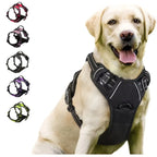 Ultra-Lightweight Ergonomic No-Pull Dog Harness