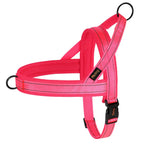 Lightweight Mesh No-Pull Dog Harness