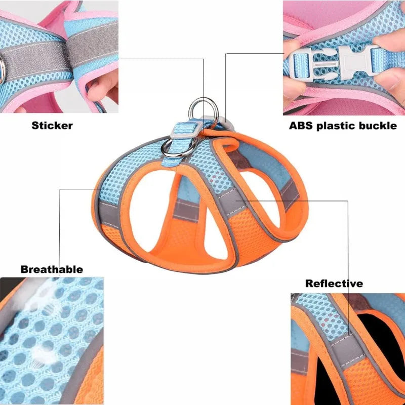 Step-In Breathable Mesh Dog Harness & Leash Set