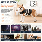 Calming Thunder Vest for Dogs The Calmer
