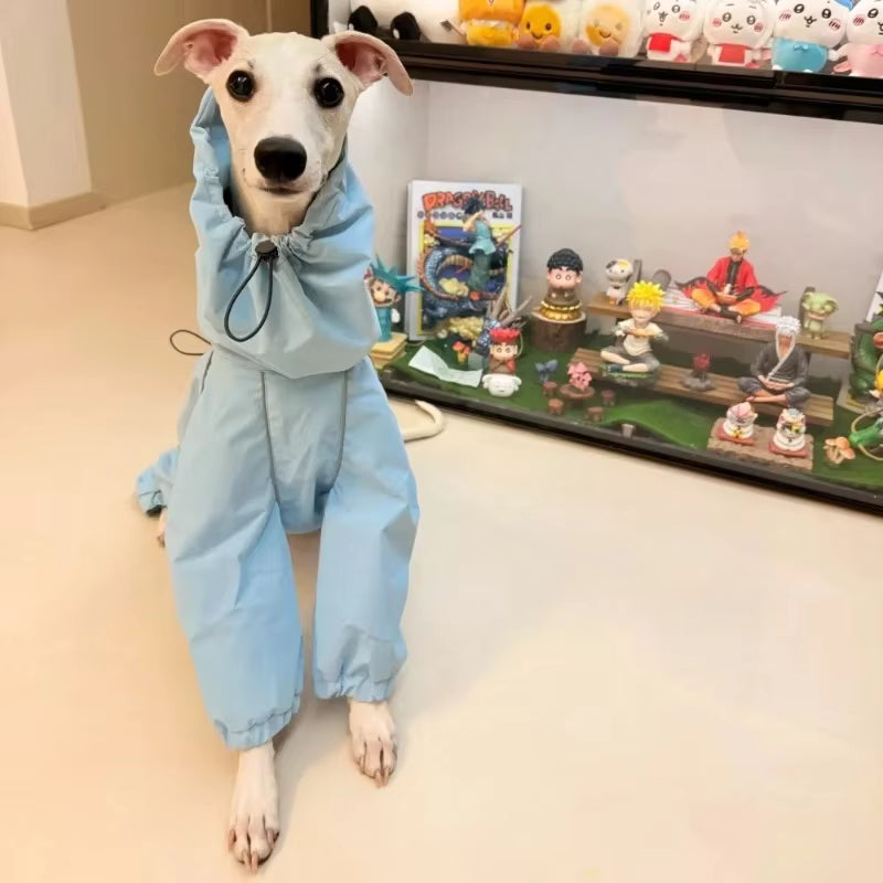Reflective Waterproof Dog Raincoat – Full-Body Windbreaker Jumpsuit for Greyhounds, Whippets, & All Breeds