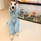 Reflective Waterproof Dog Raincoat – Full-Body Windbreaker Jumpsuit for Greyhounds, Whippets, & All Breeds