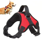 No-Pull Padded Dog Harness with Control Handle