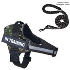 Custom Luxury Dog Harness + Leash | Mini Set