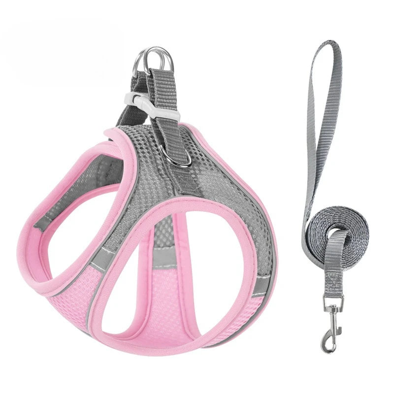 Step-In Breathable Mesh Dog Harness & Leash Set