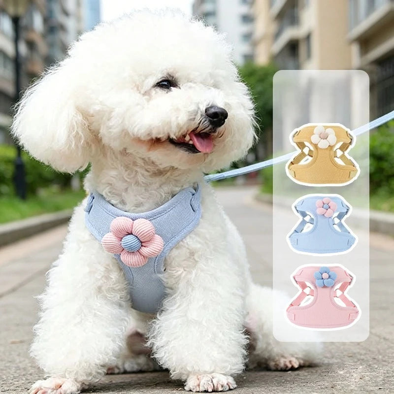 Dog Harness with 1.5m Leash Set Adjustable
