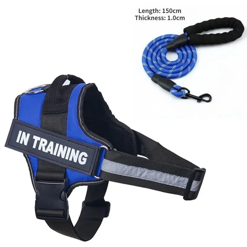 Custom Luxury Dog Harness + Leash | Mini Set