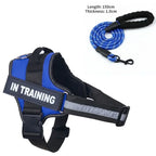 Custom Luxury Dog Harness + Leash | Mini Set