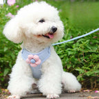 Dog Harness with 1.5m Leash Set Adjustable