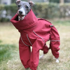 Reflective Waterproof Dog Raincoat – Full-Body Windbreaker Jumpsuit for Greyhounds, Whippets, & All Breeds