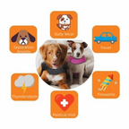 Elastic Dog Anxiety Jacket Reflective Breathable Dog Thunder Vest