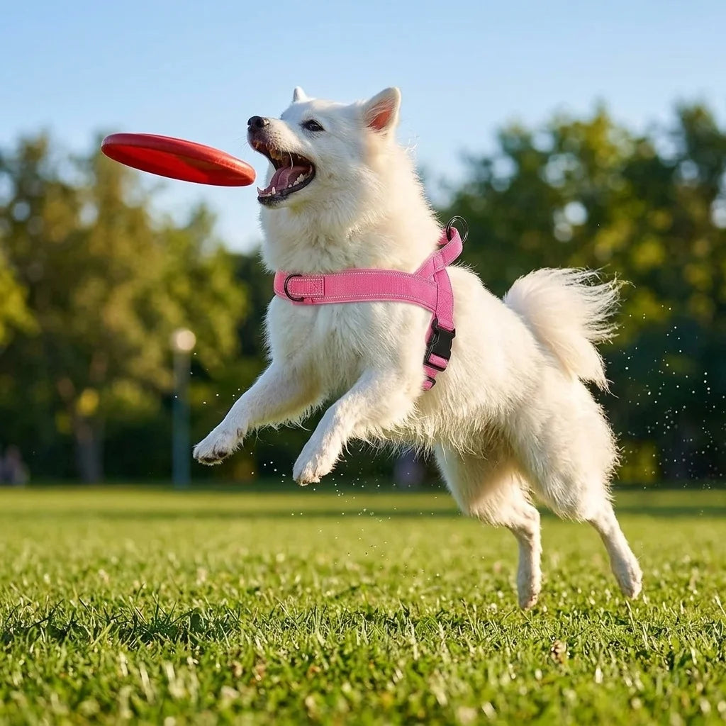 Tactical No-Pull Dog Harness for Large Breed