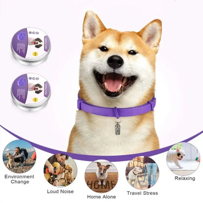 Pet Calming Collar