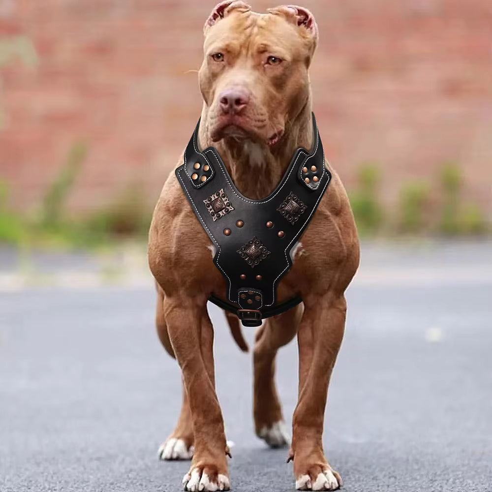 Genuine Leather Dog Harness Durable