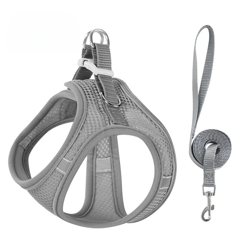 Step-In Breathable Mesh Dog Harness & Leash Set