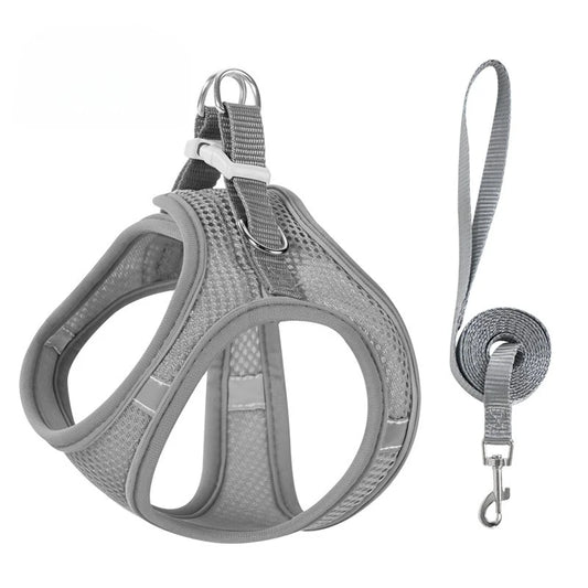 Step-In Breathable Mesh Dog Harness & Leash Set