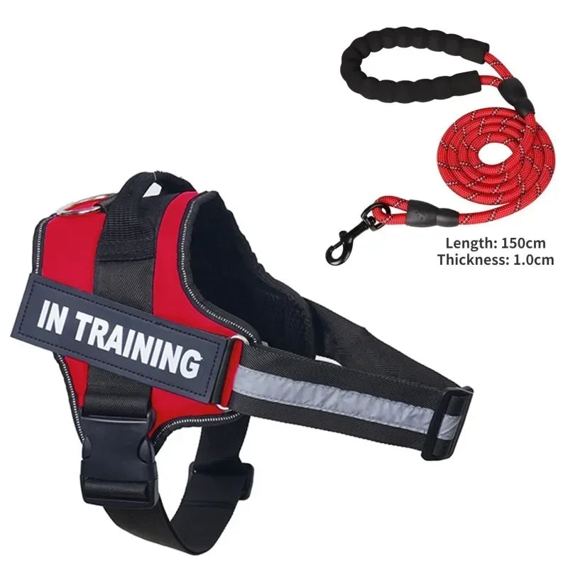 Custom Luxury Dog Harness + Leash | Mini Set