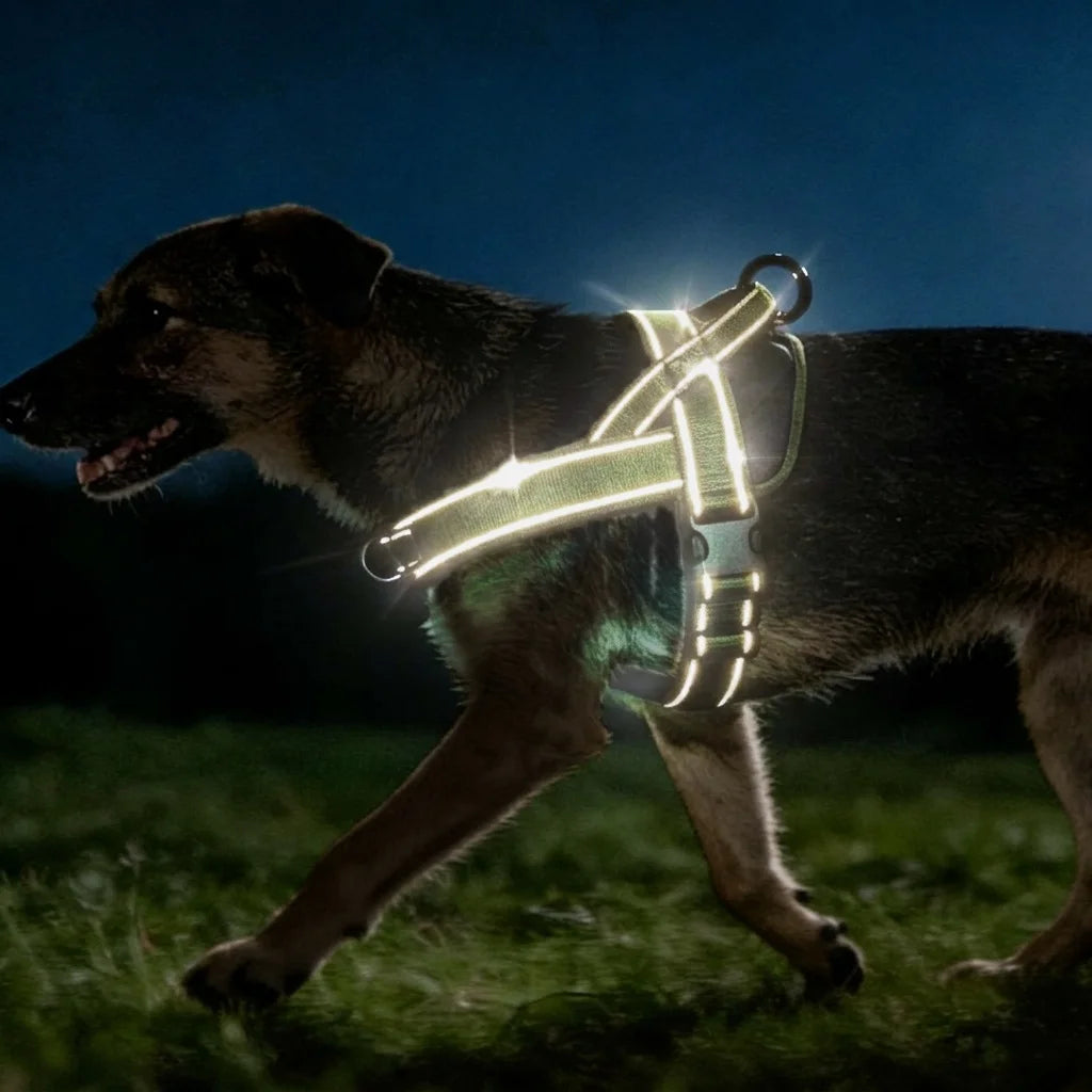 Tactical No-Pull Dog Harness for Large Breed