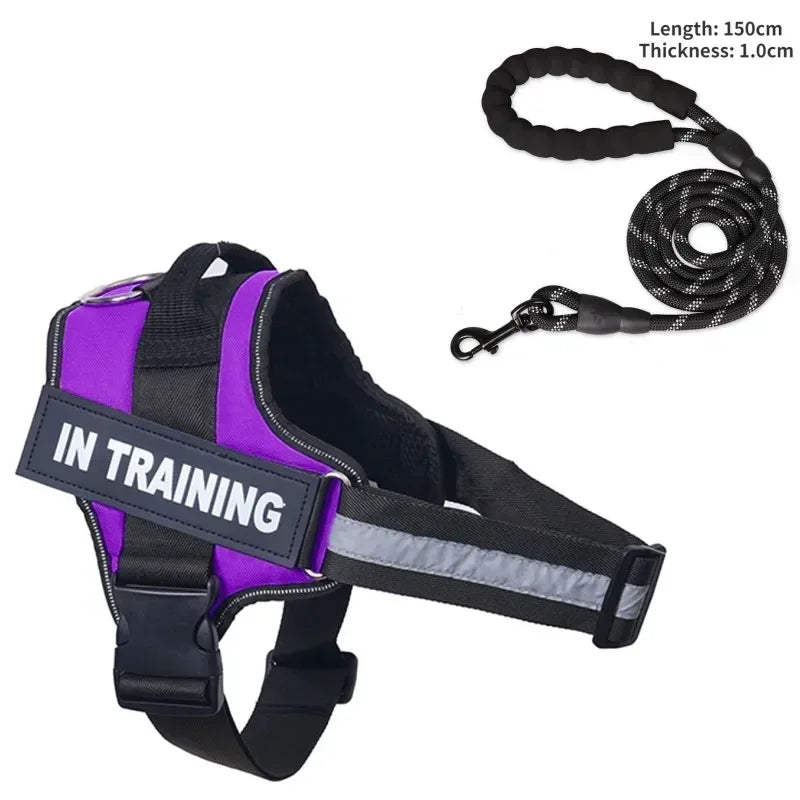Custom Luxury Dog Harness + Leash | Mini Set