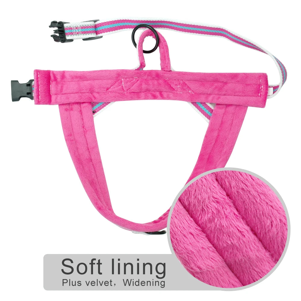 The Cloud-Fit Dual-Clip Harness