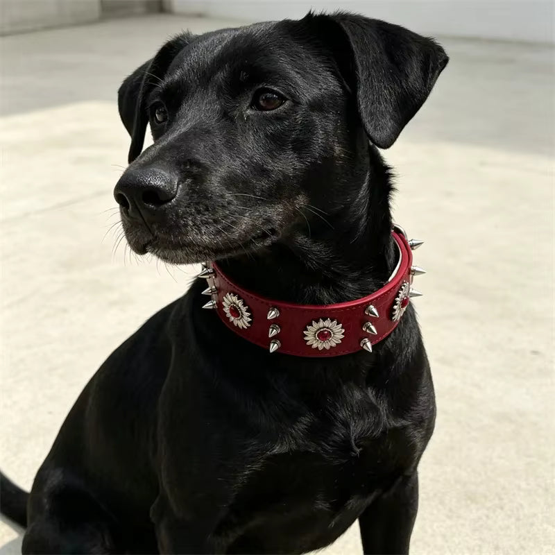 Spiked Dog Collar Genuine Leather  | Croc Leather EB65