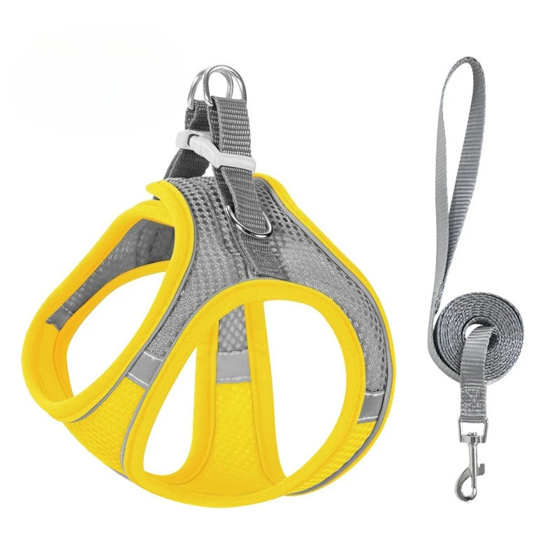 Step-In Breathable Mesh Dog Harness & Leash Set