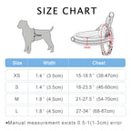 The Cloud-Fit Dual-Clip Harness
