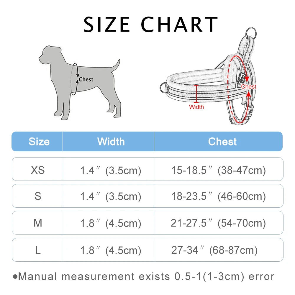 The Cloud-Fit Dual-Clip Harness