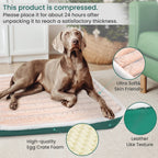 Ultra Plush Deluxe Orthopedic Foam Dog Bed Rectangular