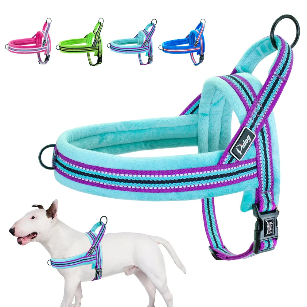The Cloud-Fit Dual-Clip Harness